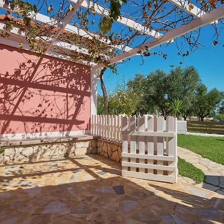 Erato Periyali * Vasilikí